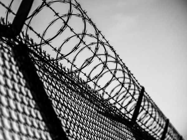 Амнистия в Украине: стало известно, кто сможет получить освобождение от наказания