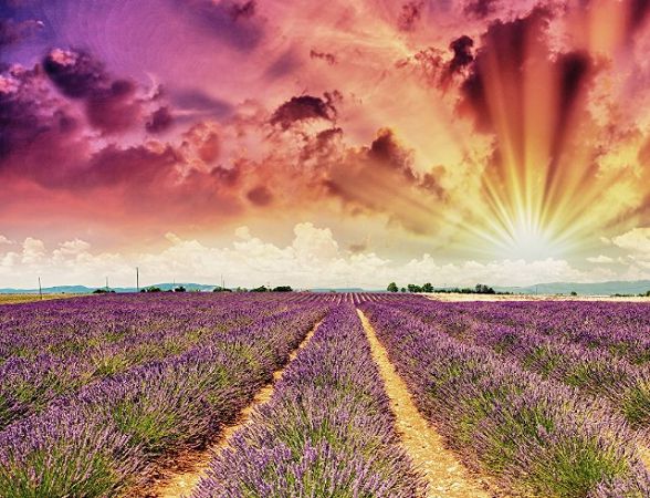 Расписание магнитных бурь в августе 2021 года