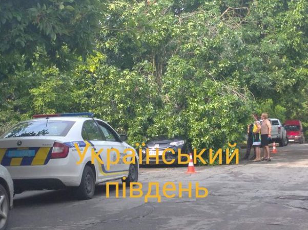 В центре Херсона дерево упало на автомобиль