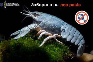 У Херсонській області з 10 серпня розпочнеться заборона на вилов раків