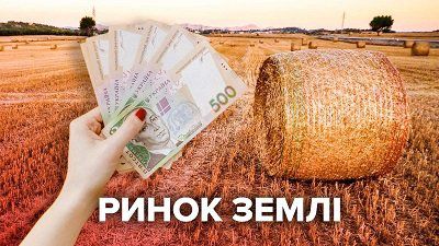 Фермерам: що треба робити після відкриття ринку землі