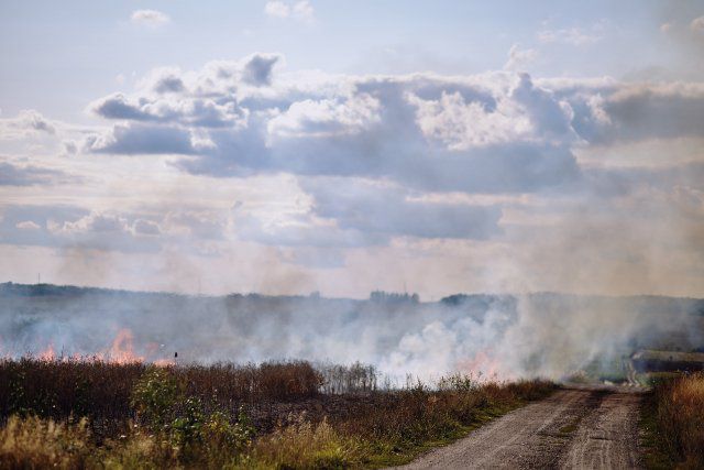 На Херсонщине неизвестные подожгли три поля с зерновыми