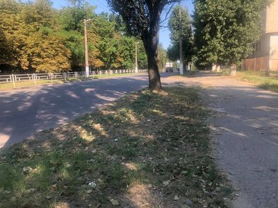 Сквер по вул Залаегерсег: чи видно роботу комунальників