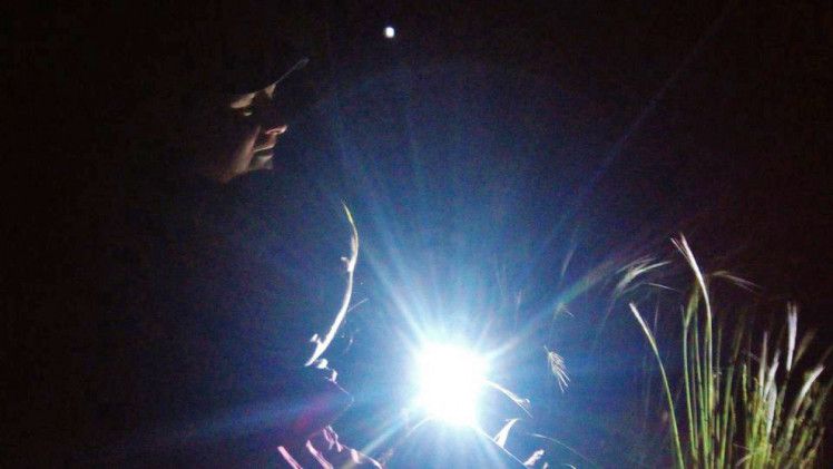 Нічна подорож пустелею