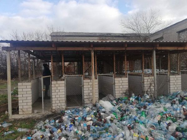 «Наш край» вимагає від мера Скадовська вирішити проблему безпритульних собак