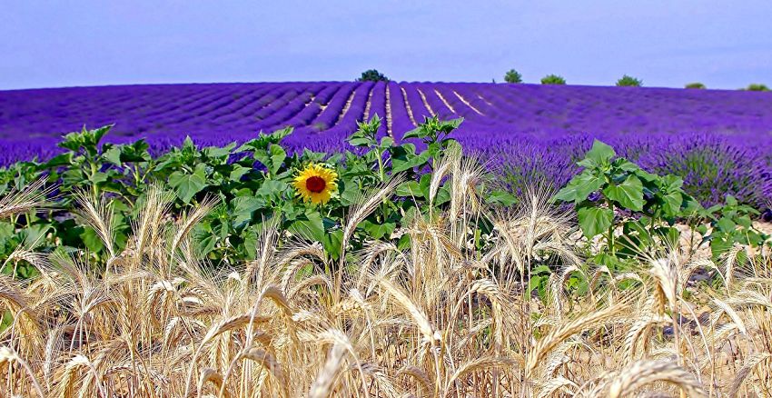 день ангела 31 июля