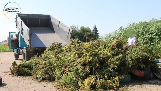 Организаторам наркоплантации избраны меры пресечения на время следствия