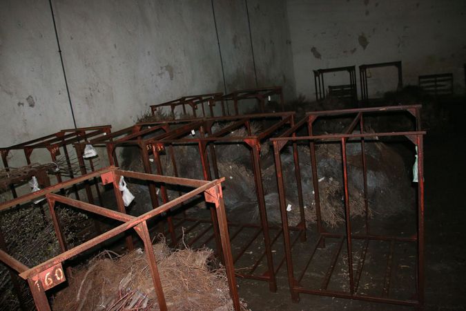 Белозерский
