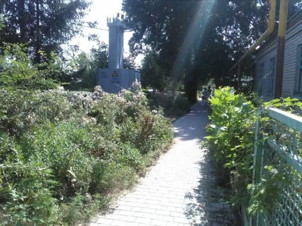 «Наш край» призывает власти Скадовской ОТГ организовать субботник и выкорчевать амброзию