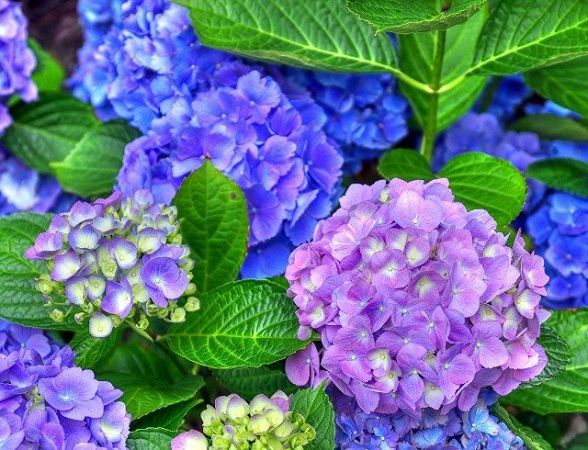 25 июля: какой сегодня праздник, приметы, именинники дня и что нельзя делать