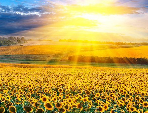 Праздники в церковном календаре на август 2021 года