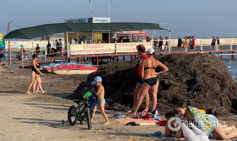 В Скадовске много камки.