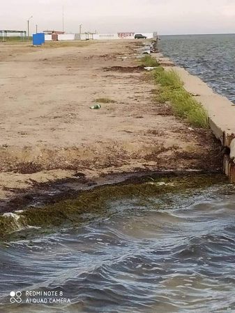 "Наш край" долучився до порятунку дитячого пляжу в Скадовську