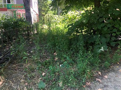 В Херсоні вулиця Кулика потопає у бур’янах