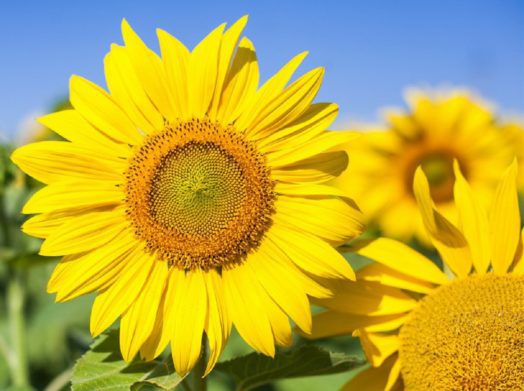 В Украину идет похолодание: прогноз погоды от Укргидрометцентра