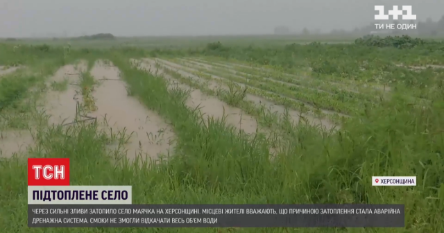 Затопленные поля и огороды: жители села в Херсонской области третью неделю страдают от подтопления