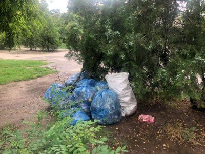 Про прибирання на проспекті Ушакова та чий бур’ян
