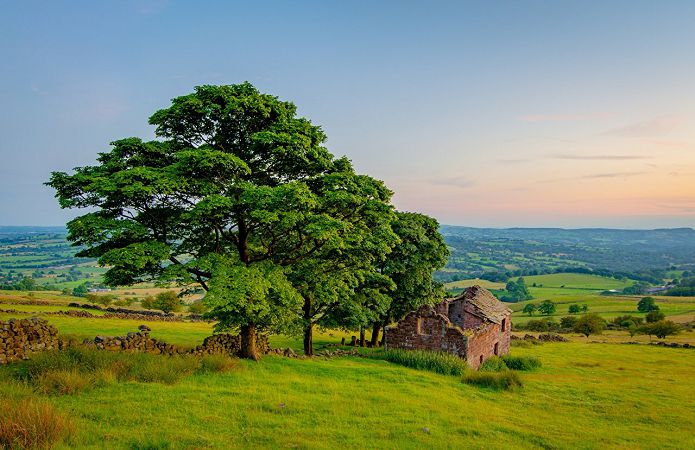 лунный день 29 июля