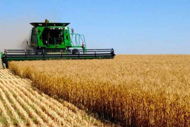 Херсонщина – лідер зі збирання врожаю!