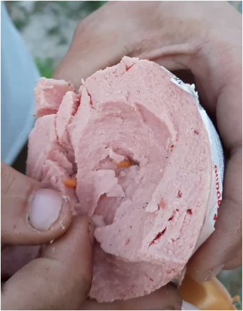 Колбасу с "червивыми жителями" купил херсонец в местной сети продуктовых магазинов