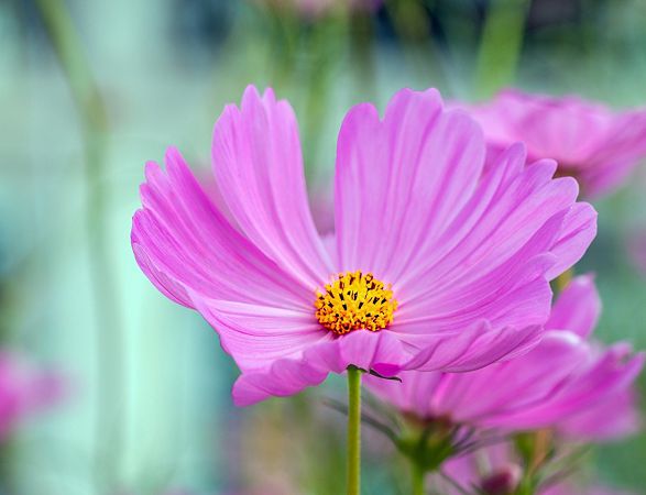 приметы 1 августа