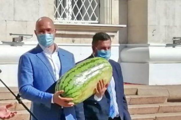 кавун херсон
