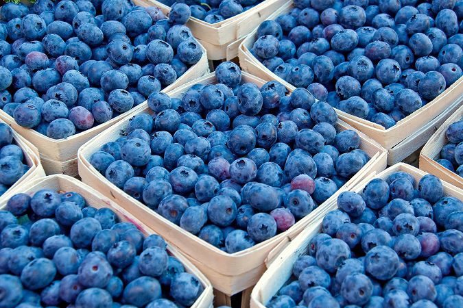 В Украине продают чернику с радиацией: какое опасное вещество содержит ягода с рынка