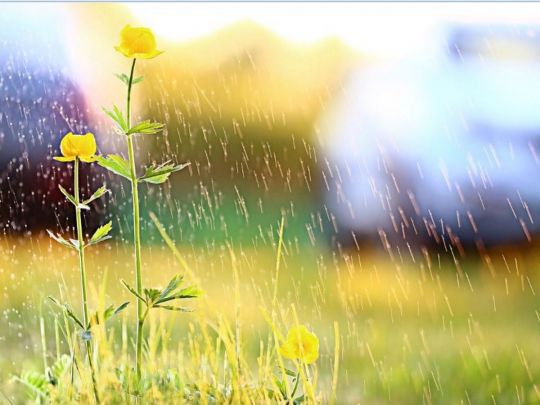 Атмосферный фронт над Украиной: синоптик рассказала о погоде в последние дни июля