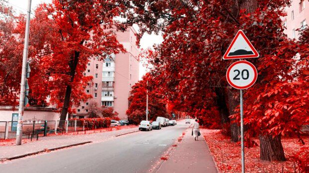 В Украину из Европы придут дожди и грозы, синоптик советует доставать пуховики уже в начале августа