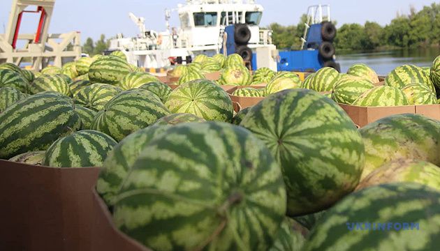 Цена на арбузы будет высокой — участник рынка
