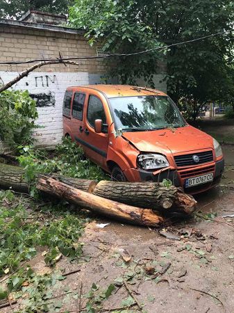 У Херсоні дерево впало на автівку та розтрощило паркан дитячого садка