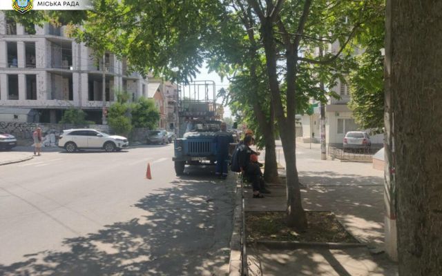 В Херсоне Инспекция по благоустройству не допустила обрезку деревьев