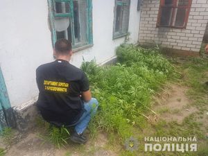 Двоє мешканців Херсонщини вирощували на городі заборонені нарковмісні рослини