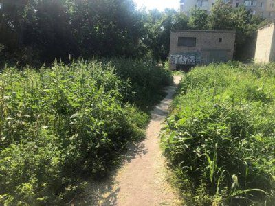 Сквер по вул Залаегерсег: чи видно роботу комунальників 
