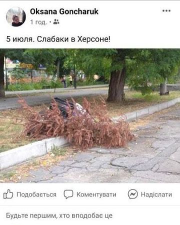 Херсонцы в июле продолжают выбрасывать новогодние елки
