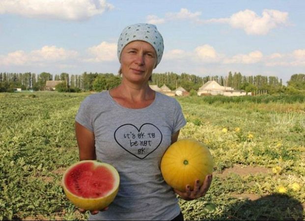 На Херсонщине выращивают новые сорта дынь