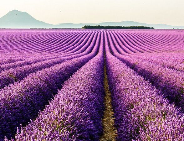 31 июля: какой праздник, приметы, именинники дня и что нельзя делать