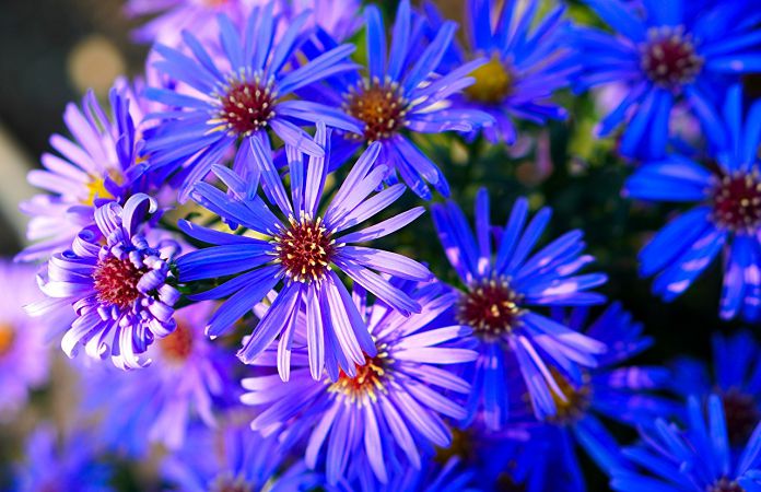 церковные праздники в августе 2021 года календарь