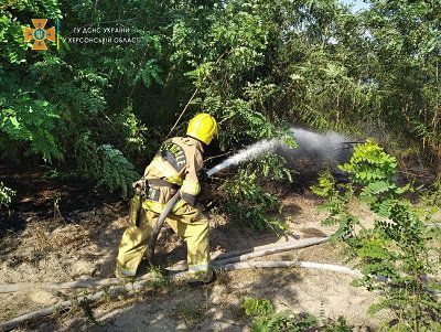 Рятувальники за останню добу гасили пожежі в екосистемах 17 разів