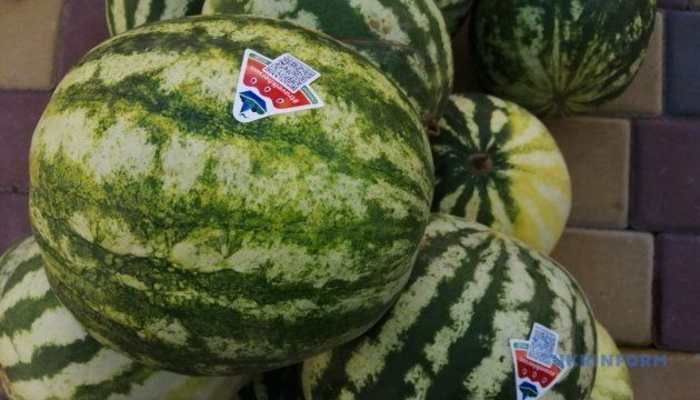 На Херсонщине планируют снова клеить наклейки с QR-кодом на арбузы