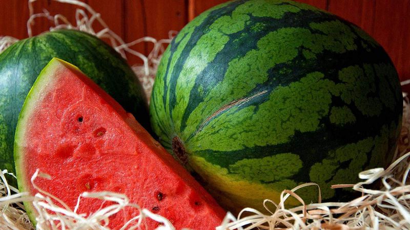 Как выбрать безопасный арбуз