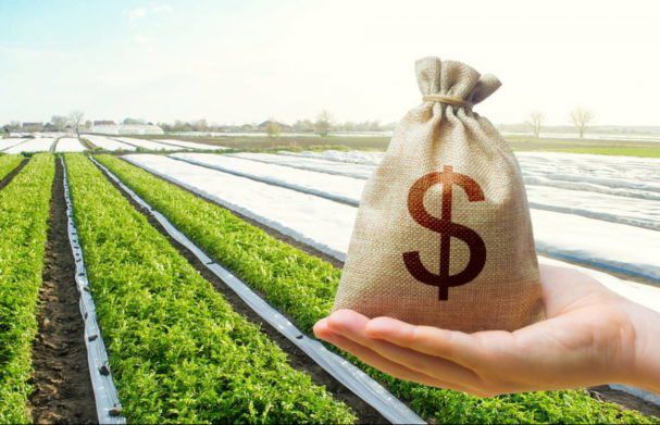 Открытие рынка земли: стало известно, сколько участков украинцы продали за первую неделю