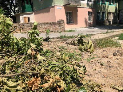 Спиляні гілки та дерева херсонські комунальники лишили просто на тротуарі
