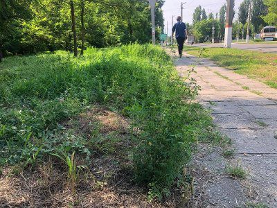 Траву в Херсоні косять вибірково 