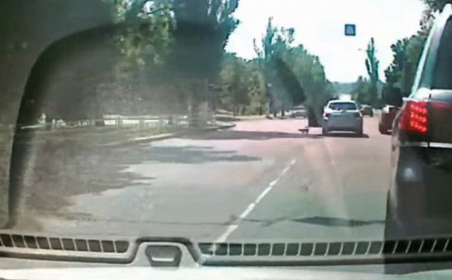 В Херсоне известная ученая выбросила из машины на дорогу кошку, — соцсети