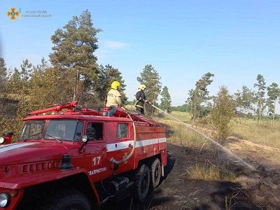 На Херсонщині почалися лісові пожежі
