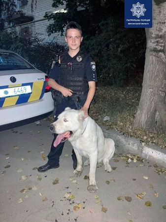 За допомоги небайдужого херсонця патрульні повернули загубленого собаку власникам
