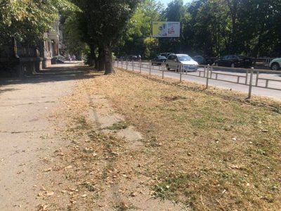 Результати прибирання: залишене сміття, засмічена прибардюрна зона