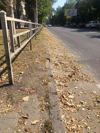 Результати прибирання: залишене сміття, засмічена прибардюрна зона