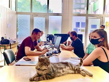 ХДУ продовжує приймати оригінали документів від абітурієнтів